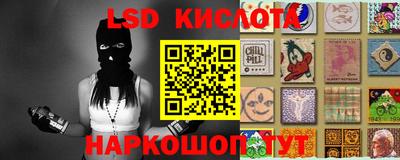 spice Кинель