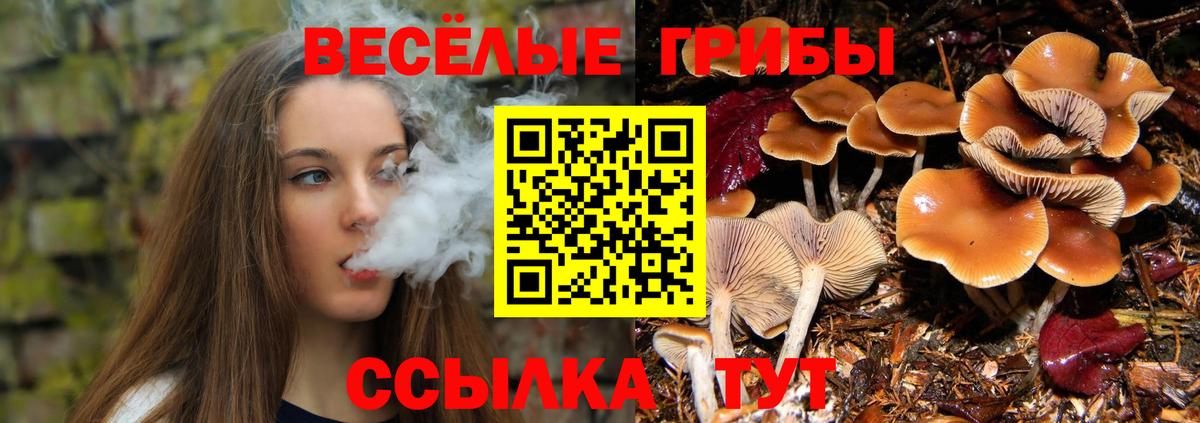 Кинель  Галлюциногенные грибы ЛСД  Вход с VPN 